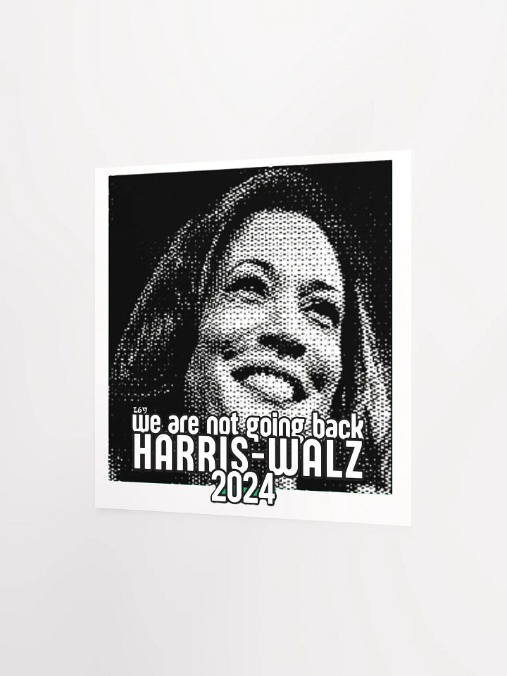 HARRIS-WALZ 2024 WE ARE NOT GOING BACK product image (9)