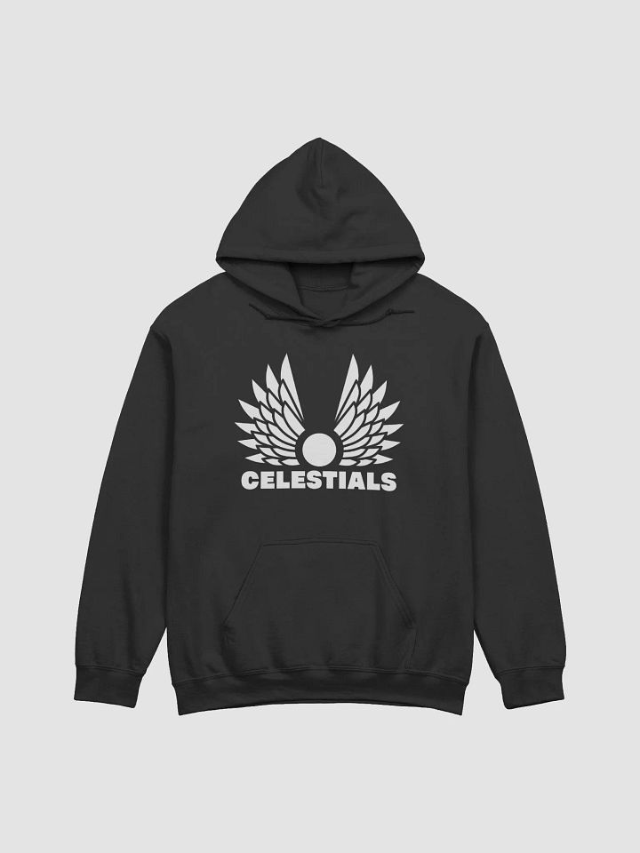 Celestials Hoodie product image (2)