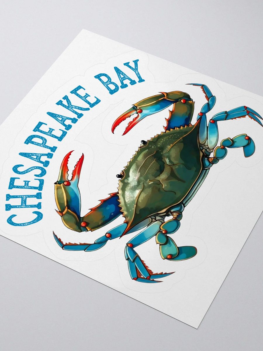 Chesapeake Bay Vintage Sticker product image (7)