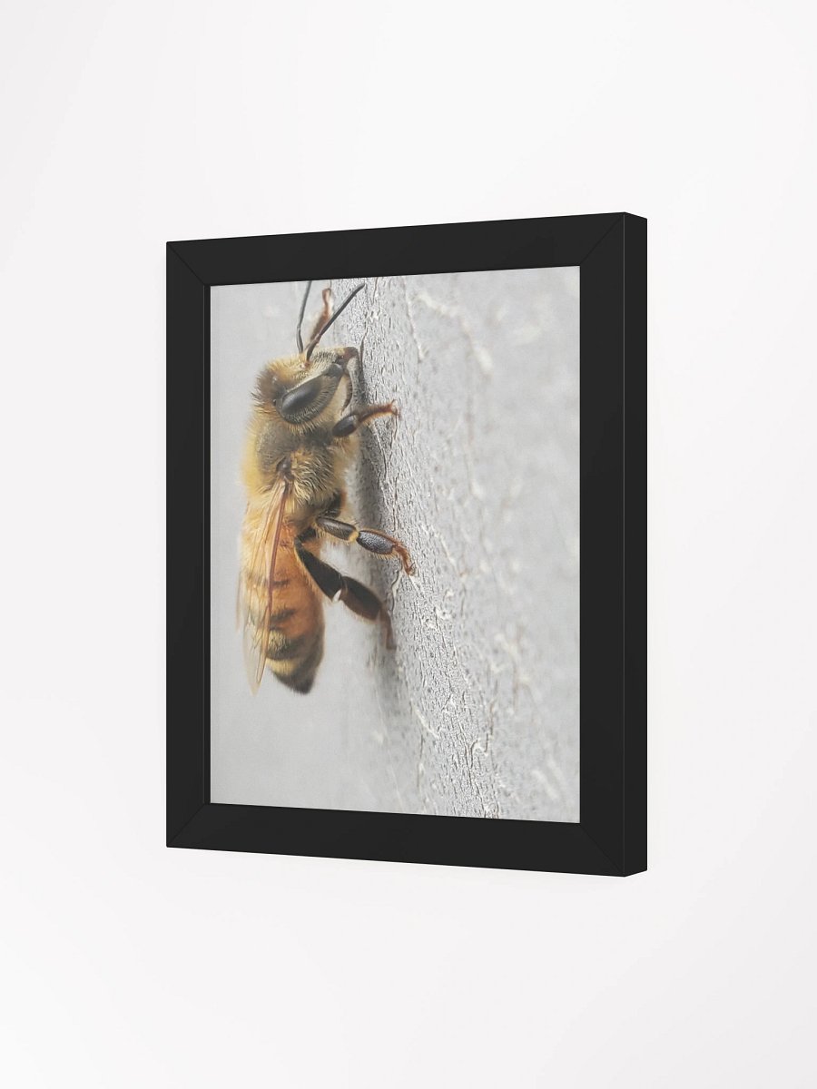 Buzzing Beauty Framed Matte Poster product image (5)