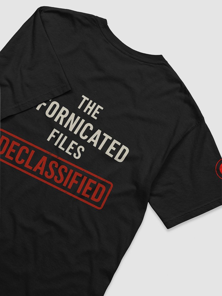 The Unfornicated Files: DECLASSIFIED Relaxed Tee product image (1)