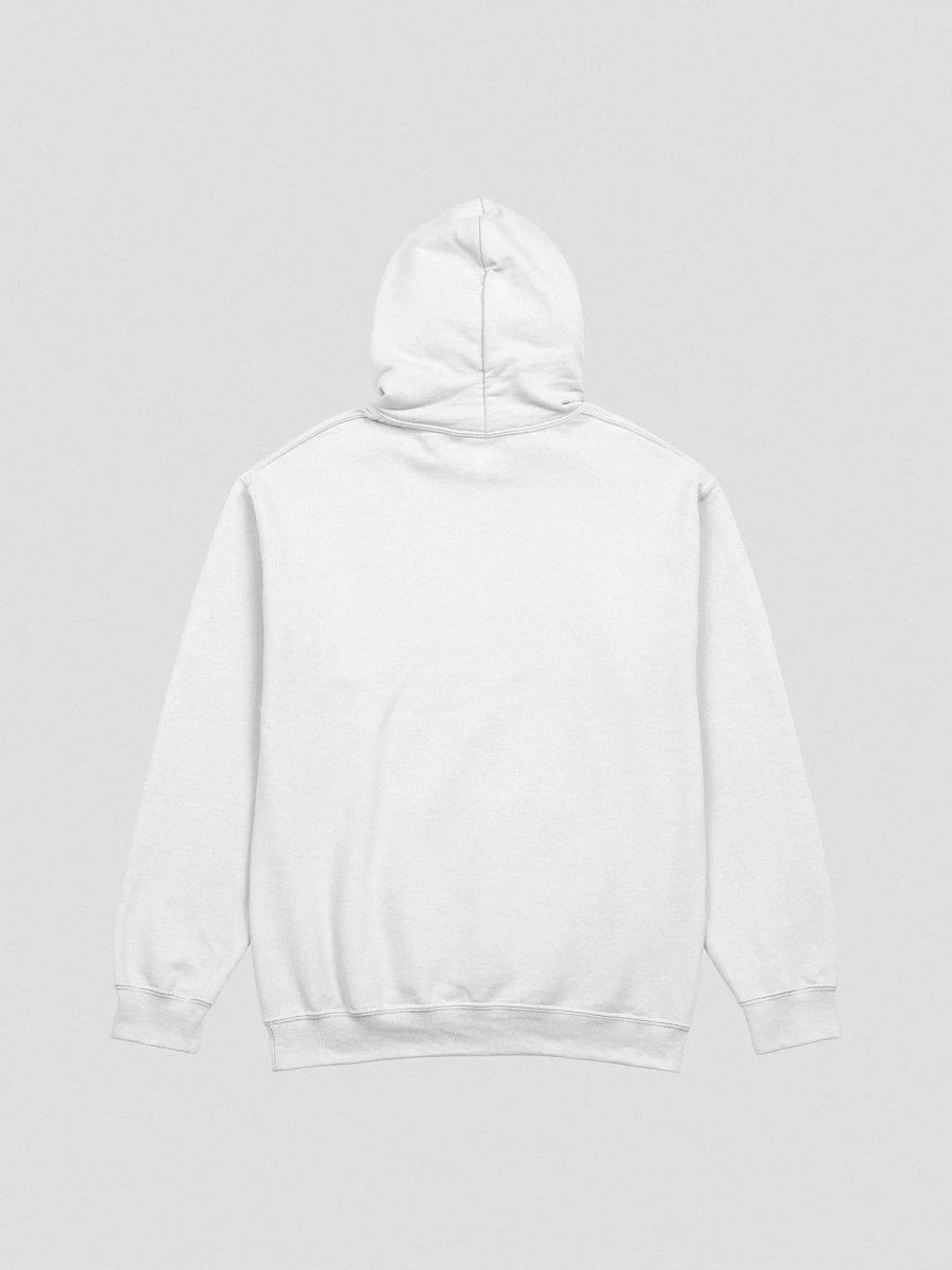 Trying Times classic hoodie product image (3)