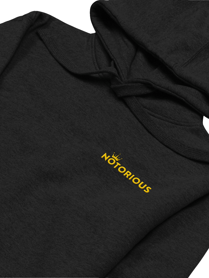 Notorious Hoodie product image (1)