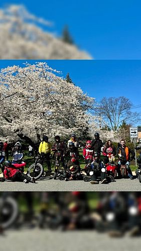 🌸🌸🌸 The most beautiful week for riding in DC 🌸🌸🌸