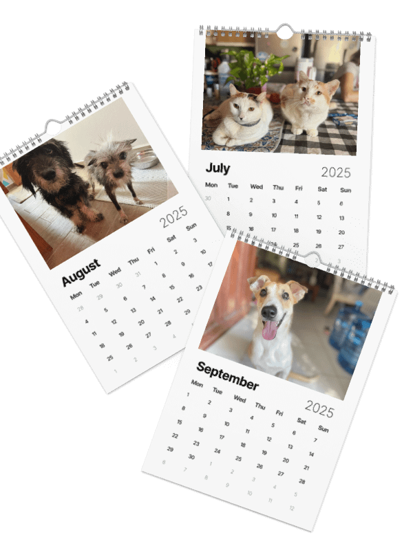 Isla Animals Calendar 2025 product image (17)