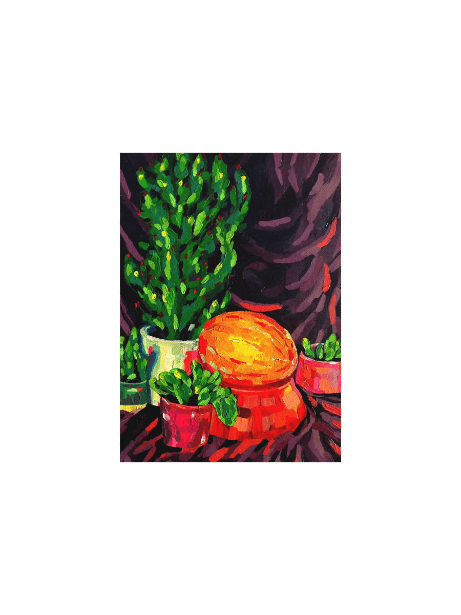 Eclectic Colorful Cacti Garden Poster product image (4)