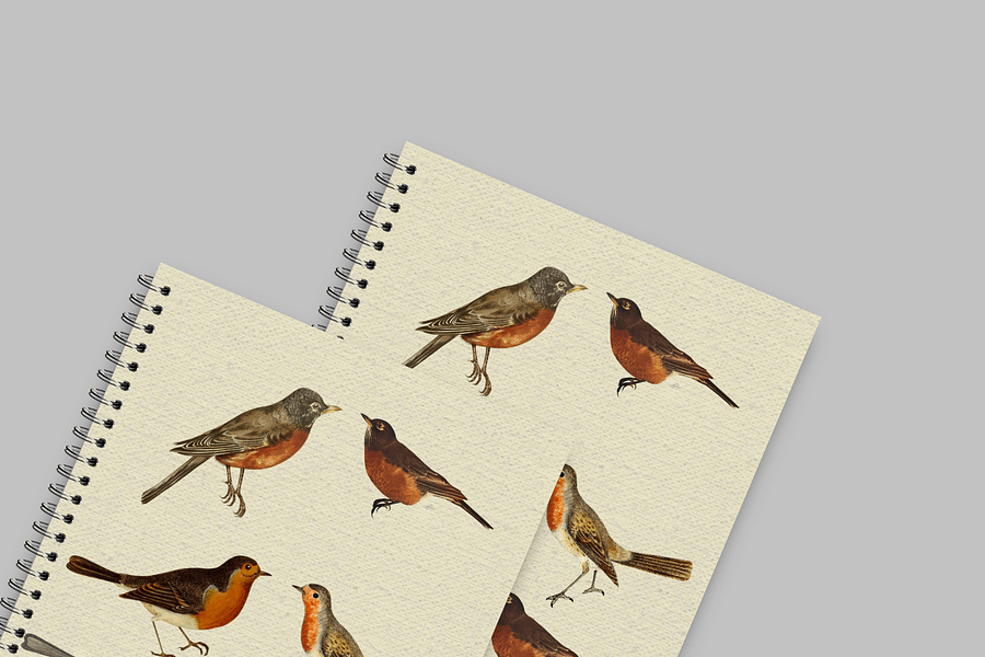 Robin Spiral-bound Notebook product image (6)