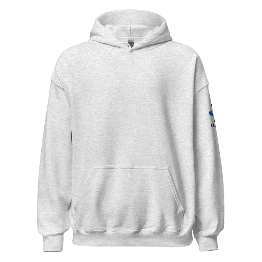Forefathers Would Be Shooting By Now: Light Hoodie product image (4)