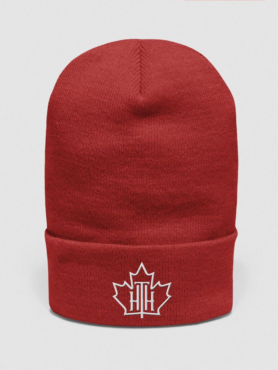 HTH Beanie product image (1)