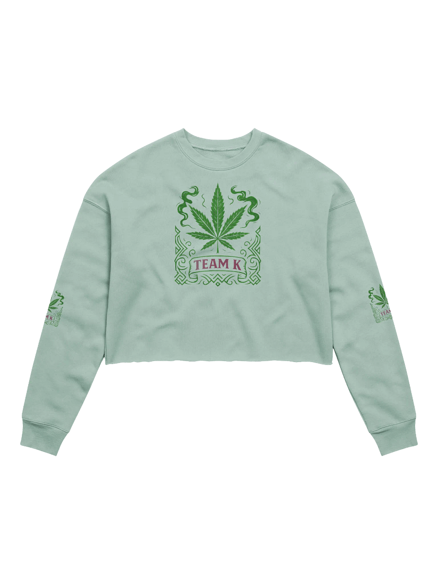 Team K V-7 Crop Sweatshirt product image (1)