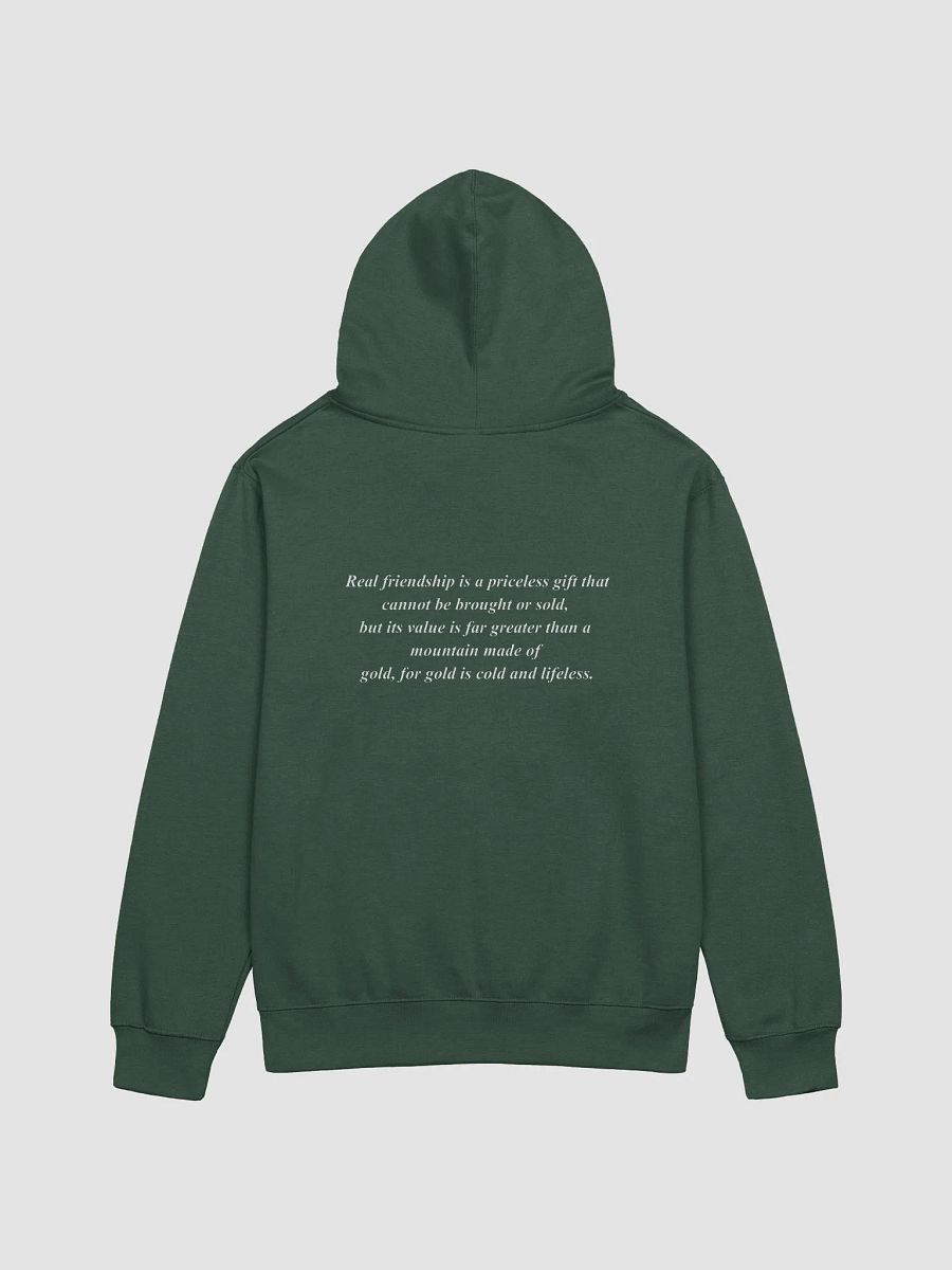 TLG + FRIENDSHIP Midweight Hoodie product image (16)