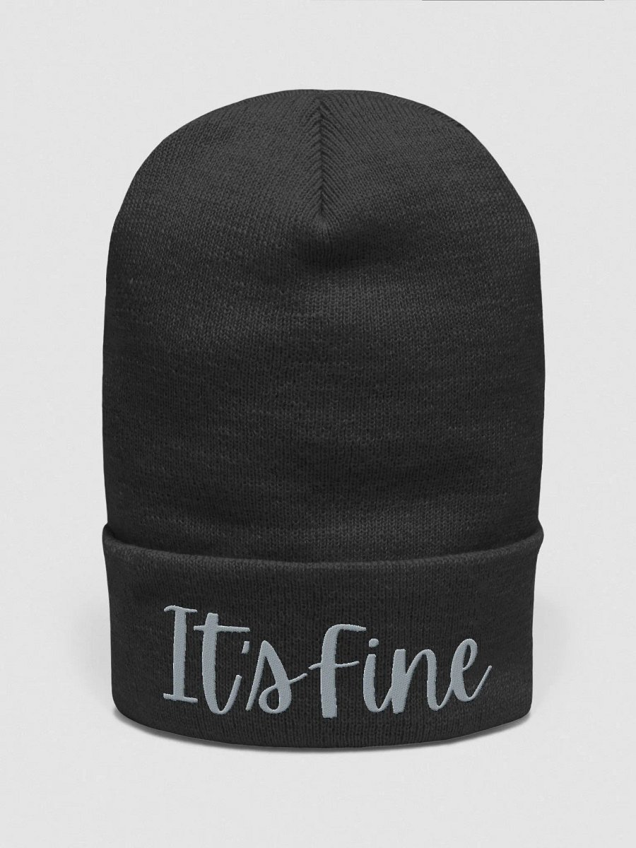It's Fine Beanie product image (1)