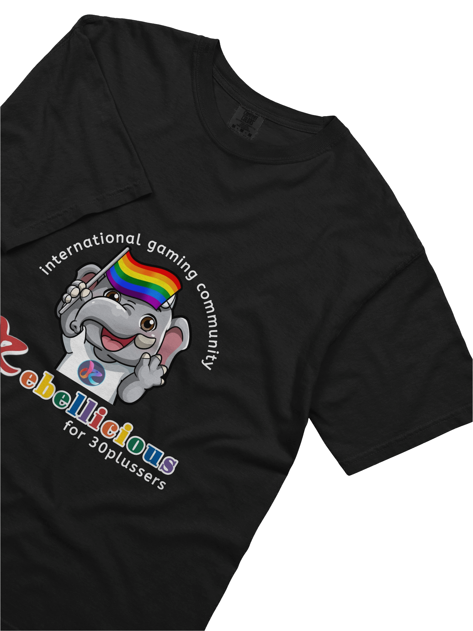 Comfort Colors Pride T-shirt product image (66)