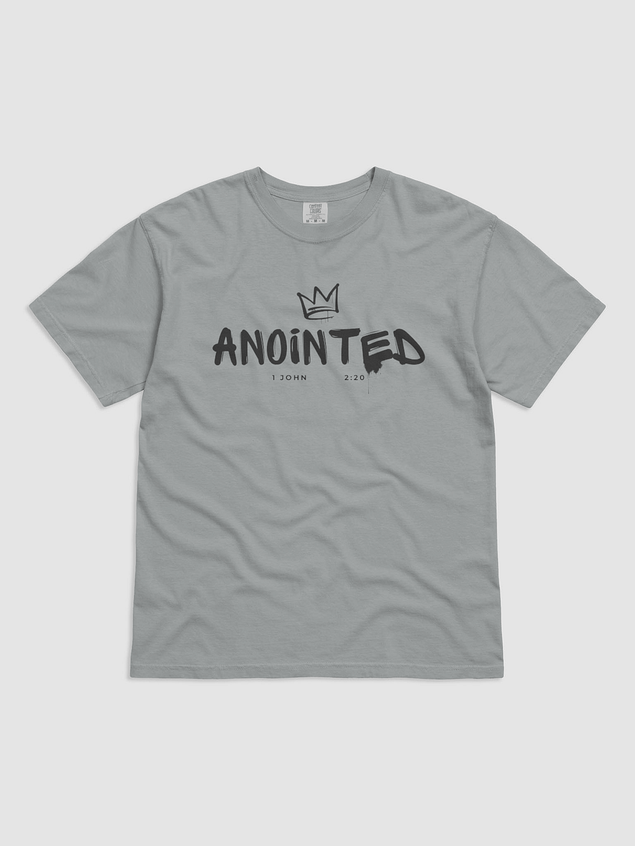 anointed t-shirt 🩶 product image (1)