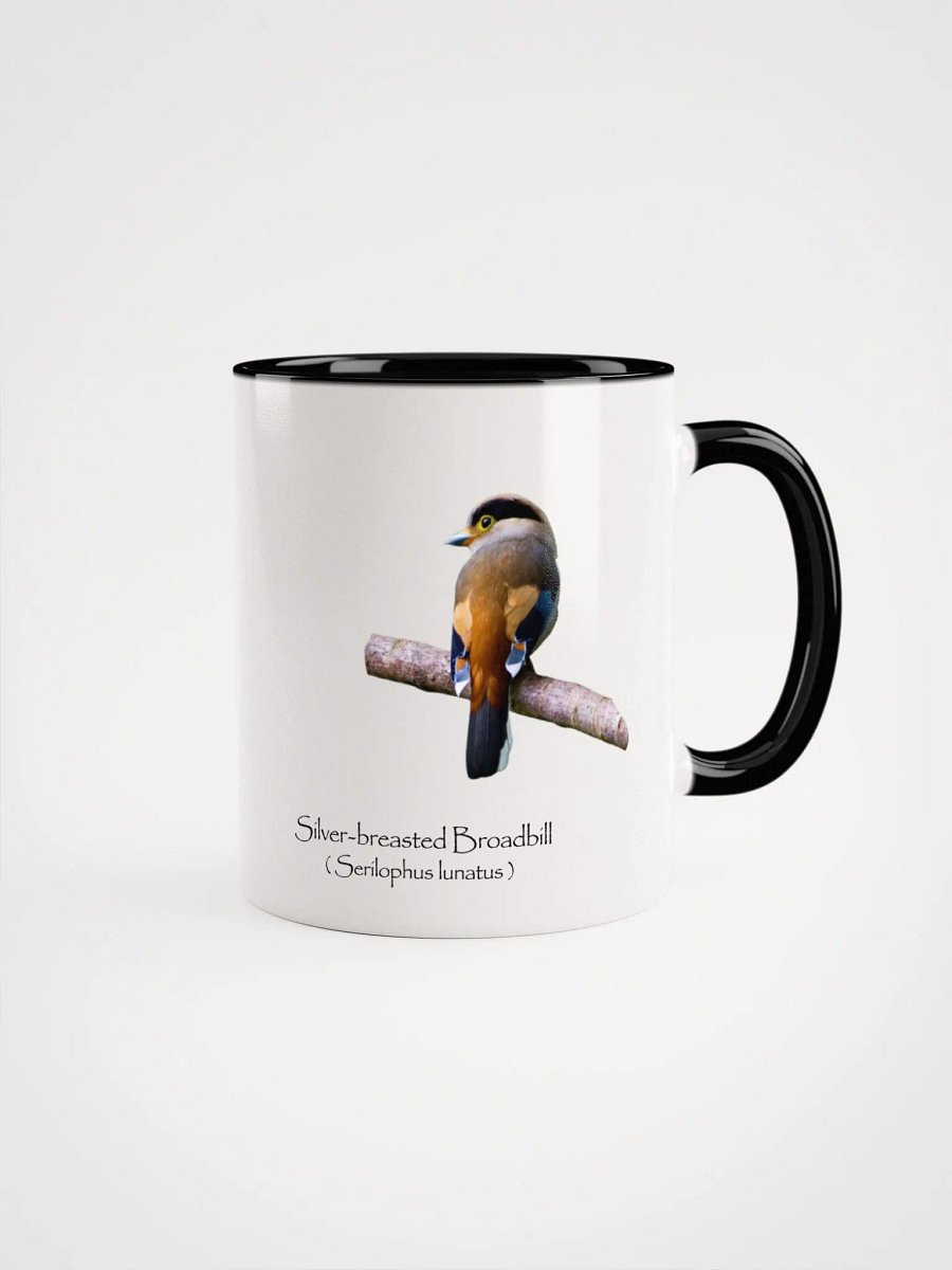 Silver-breasted Broadbill product image (1)