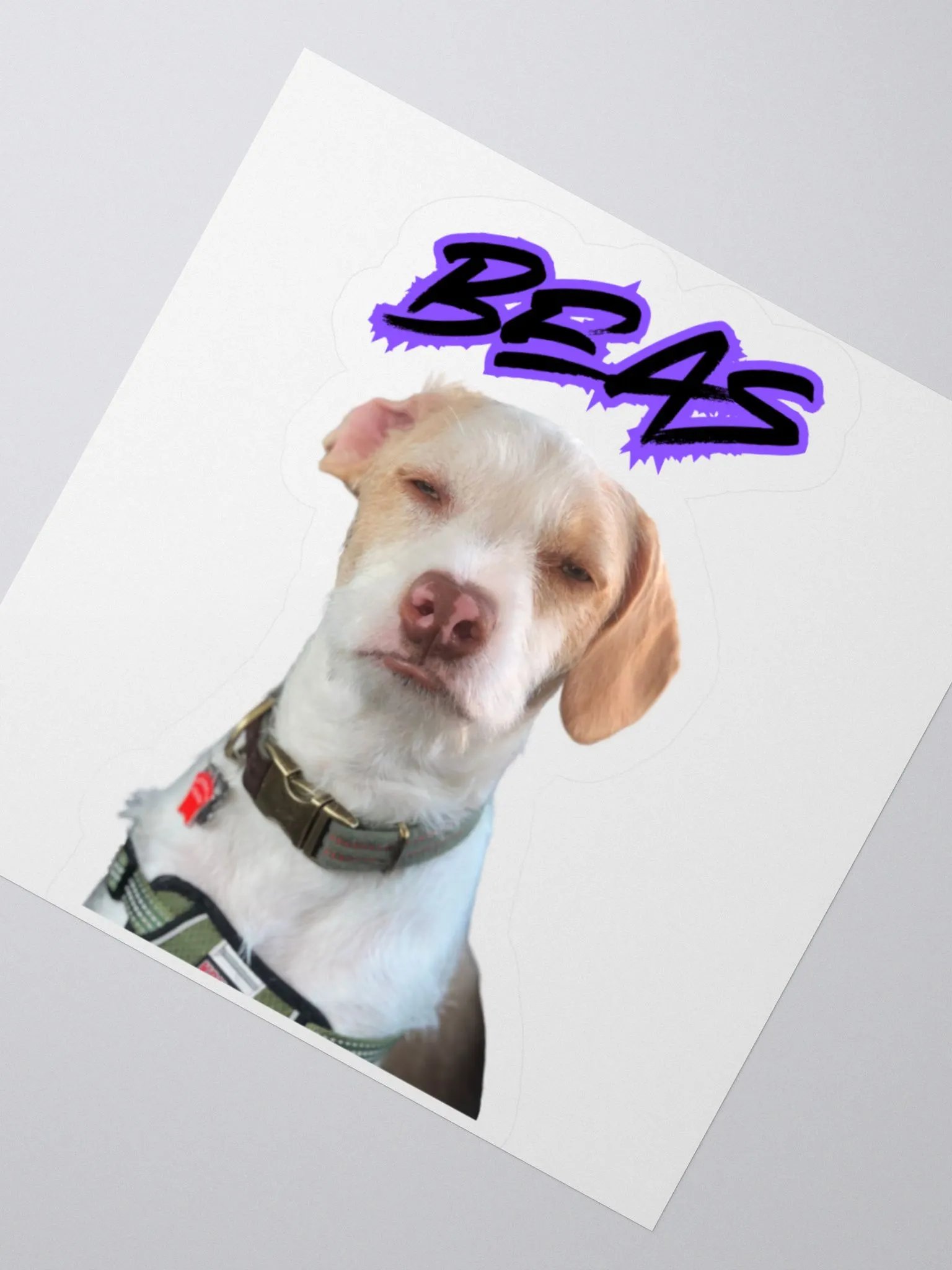 Beasley Judges You product image (4)