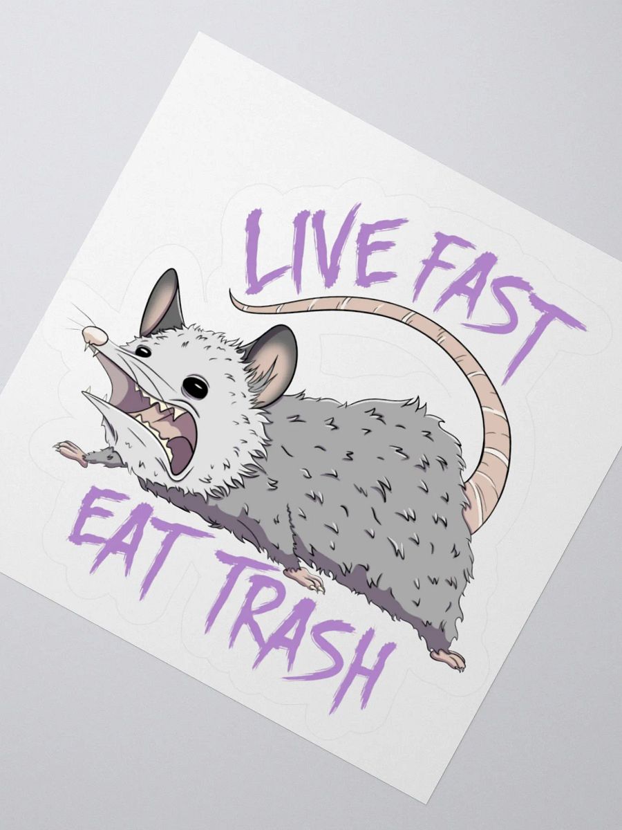 Live Fast Eat Trash Sticker product image (2)
