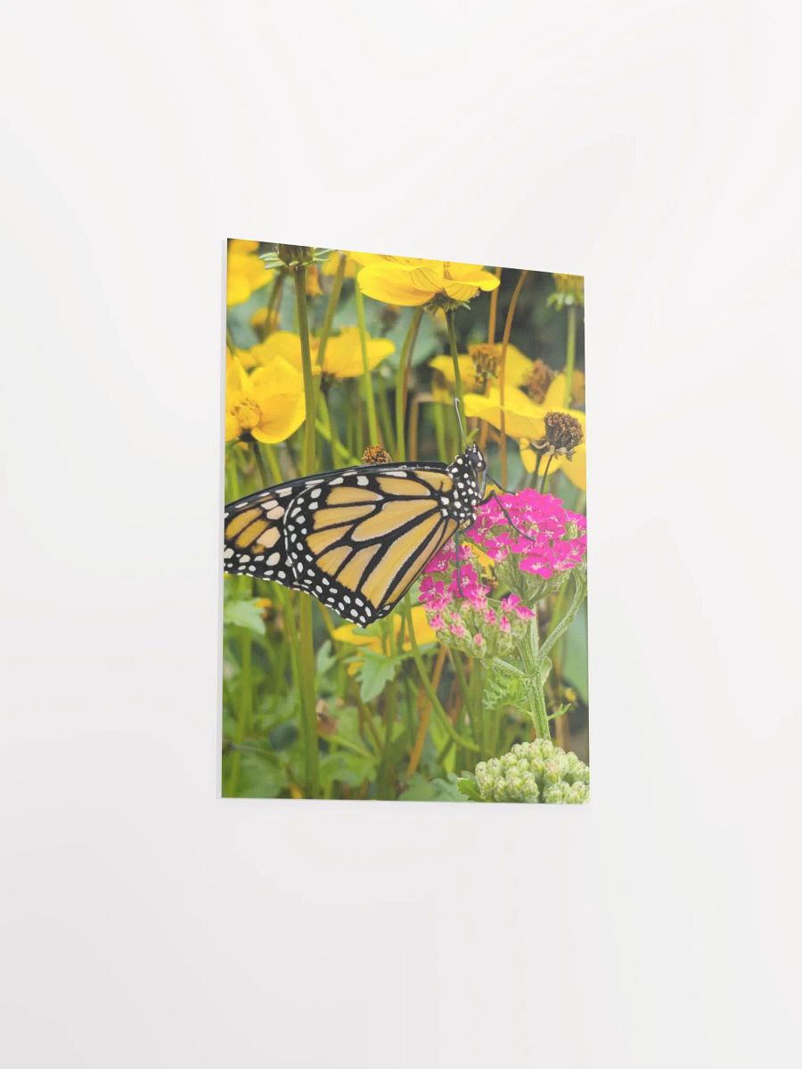 Tropical Monarch Butterfly Matte Poster 5x7" product image (3)