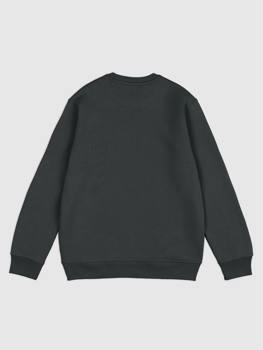 Sweatshirt product image (2)