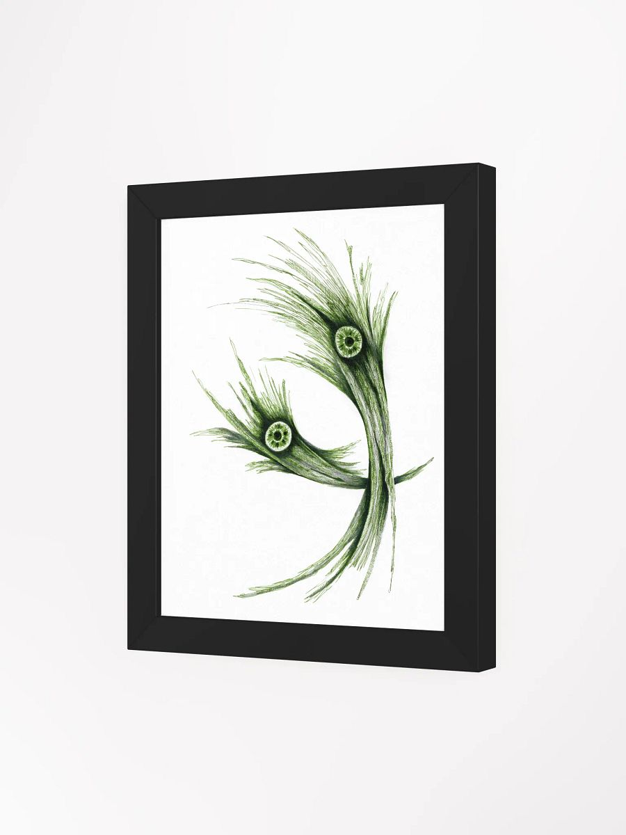 Poster - 2024 Sketch 24 product image (3)