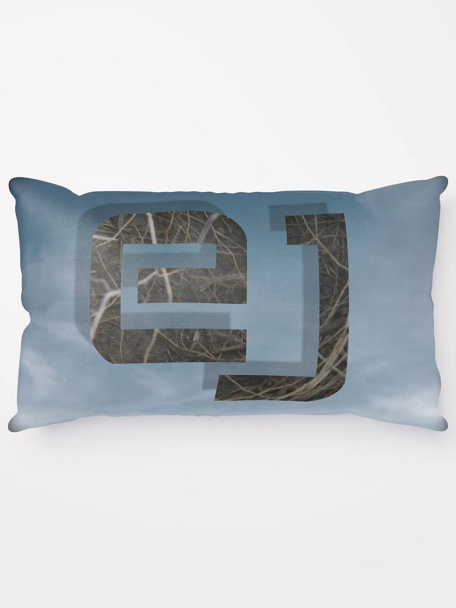 Decorative EJ Pillow product image (15)