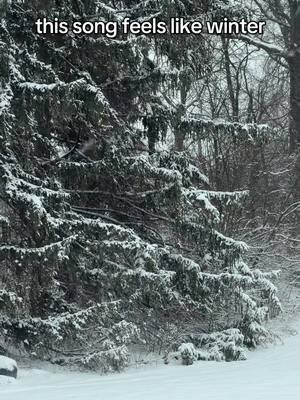 a very snowy December #winter #music #december #snow
