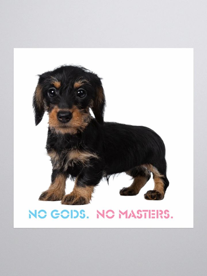 No Gods No Masters - White Sticker product image (3)
