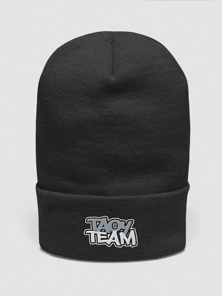 TAOYTeam - Beanie product image (1)