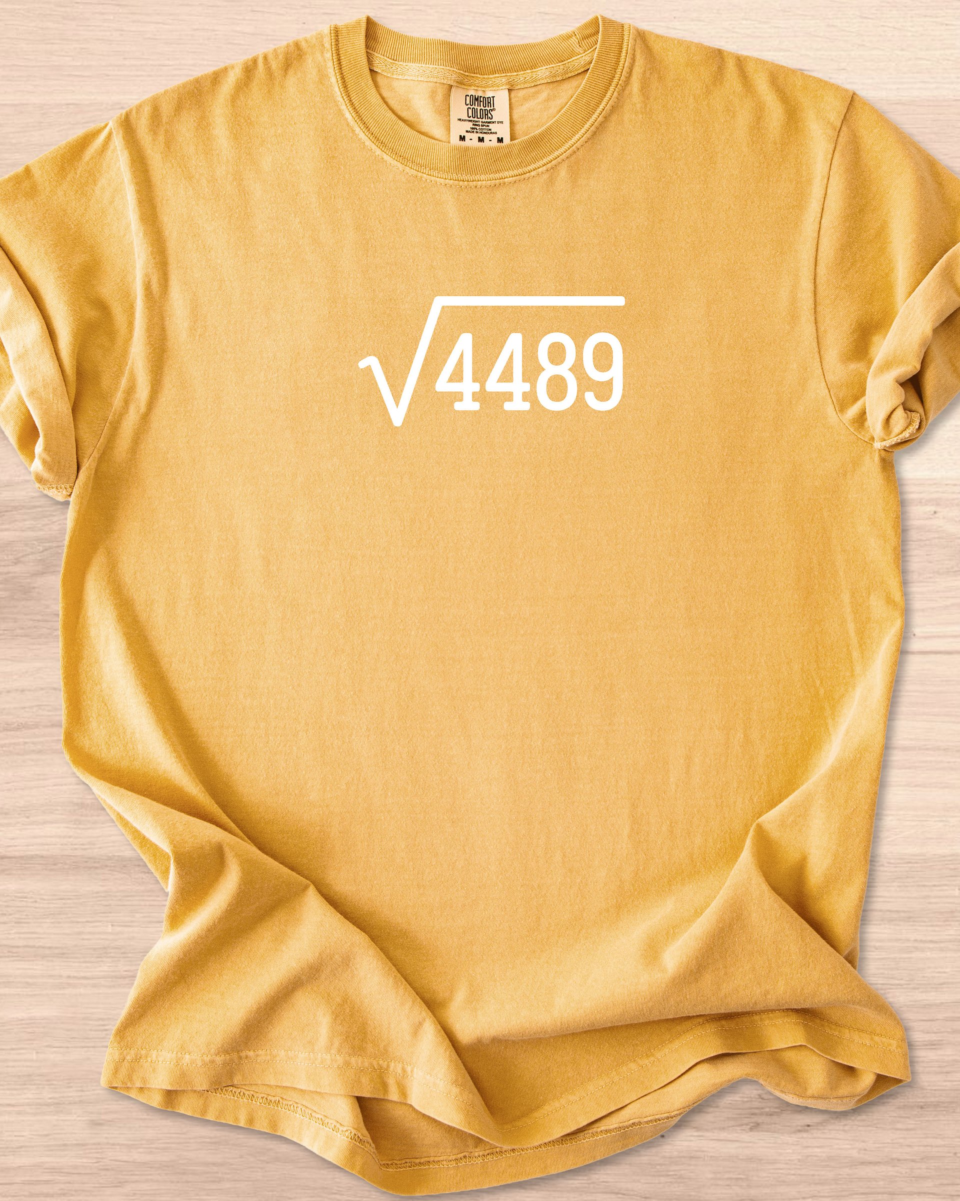 67 (Six Seven Root) Tee product image (6)