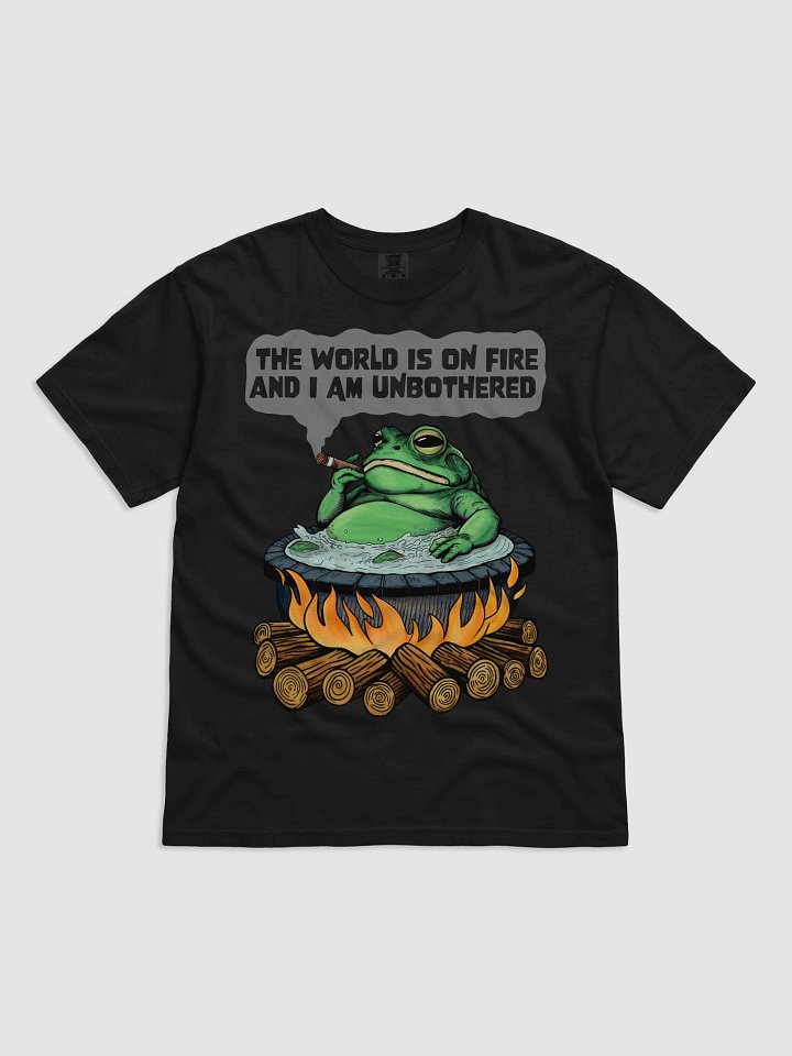 The World is on fire product image (1)