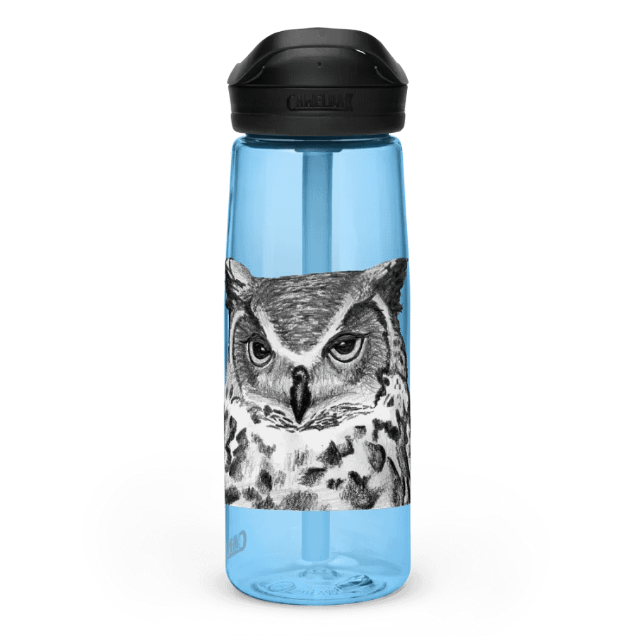Owl Drawing Water Bottle Straw product image (60)