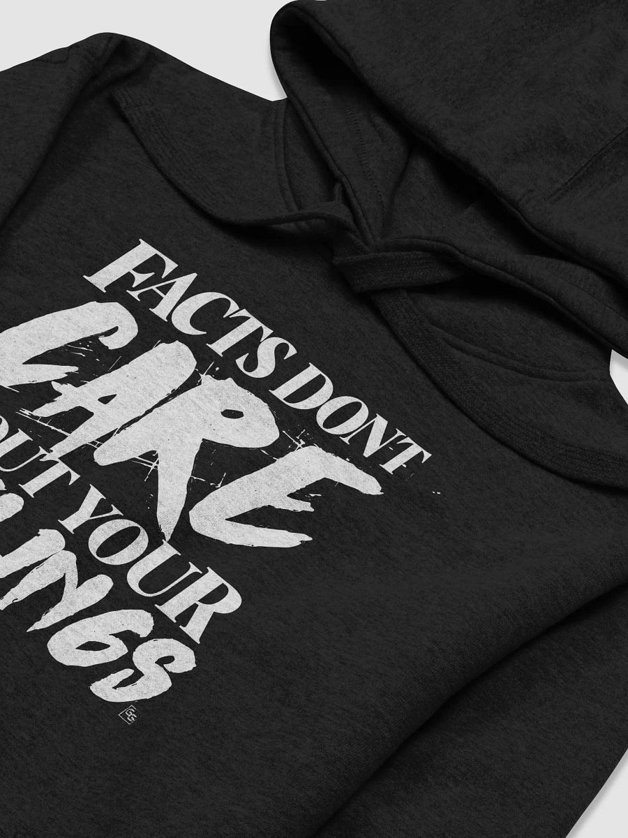 Facts Don't Care Bout Your Feelings Hoodie (White Text) product image (27)