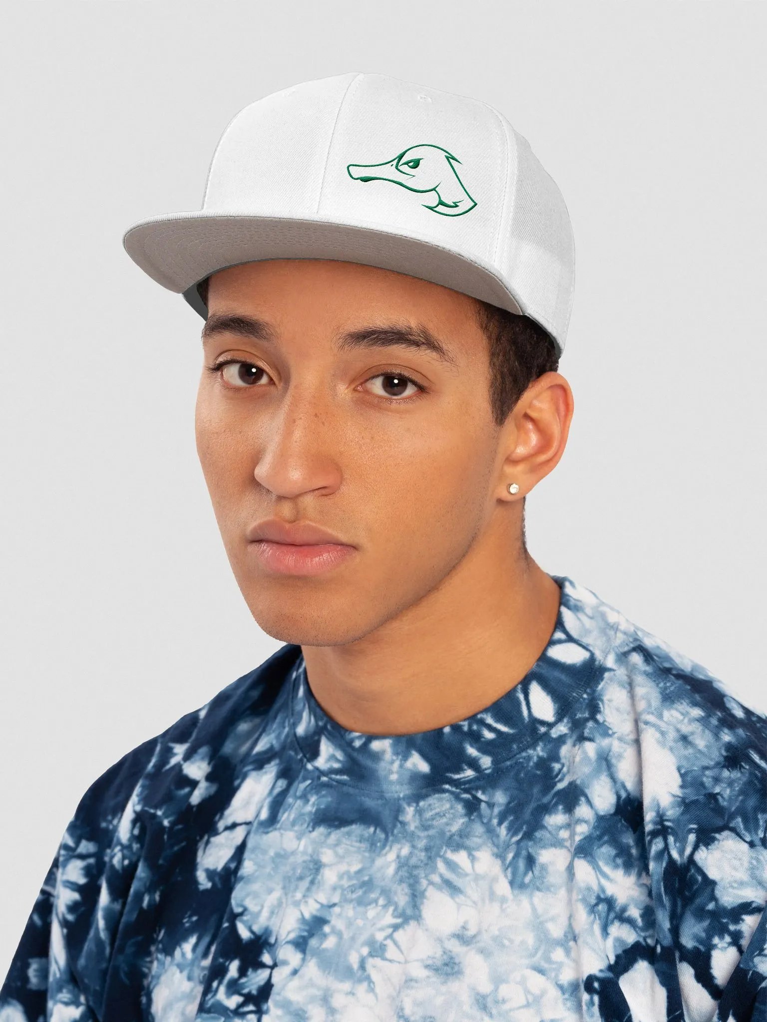 Ducks Outline Snapback product image (34)
