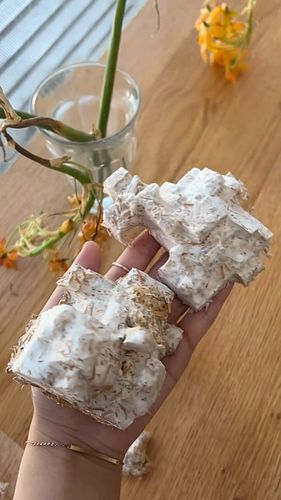 Fluffy glaciers!

Made glacier-shaped mycelium forms using LEGO blocks and vacuum mold making at @genspacenyc with @arranznik...