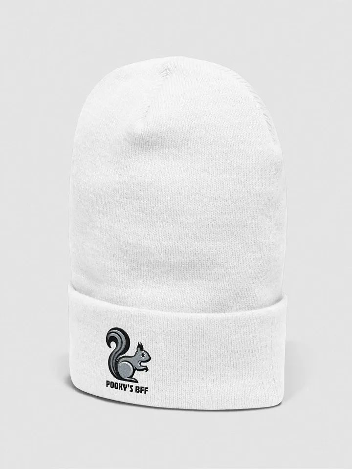 Pooky's BFF 60s Vibe Supersoft Beanie product image (2)