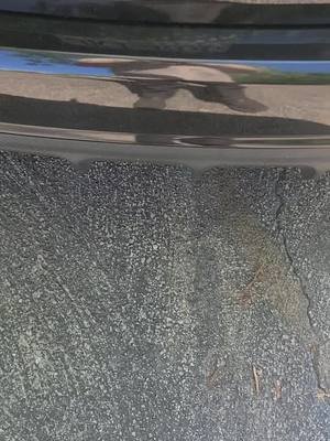 i did a thing. #cat #catsoftiktok #cats #fypシ゚viral #fyp #kia #forte #egg #hatchback #hothatch #forthegirls #fortheboys #ididathing 