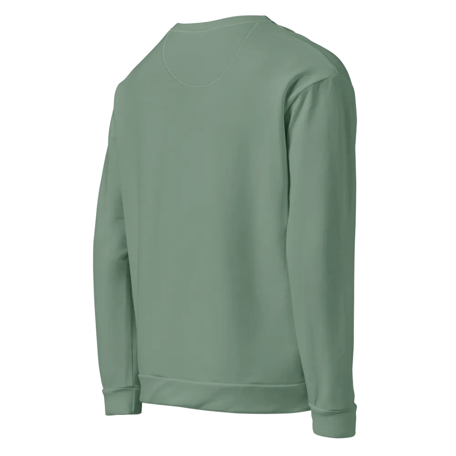 Plain Medium Sage Green Soft Summer Unisex Recycled Polyester Heavyweight Premium Sweatshirt by Treasure Pie product image (6)