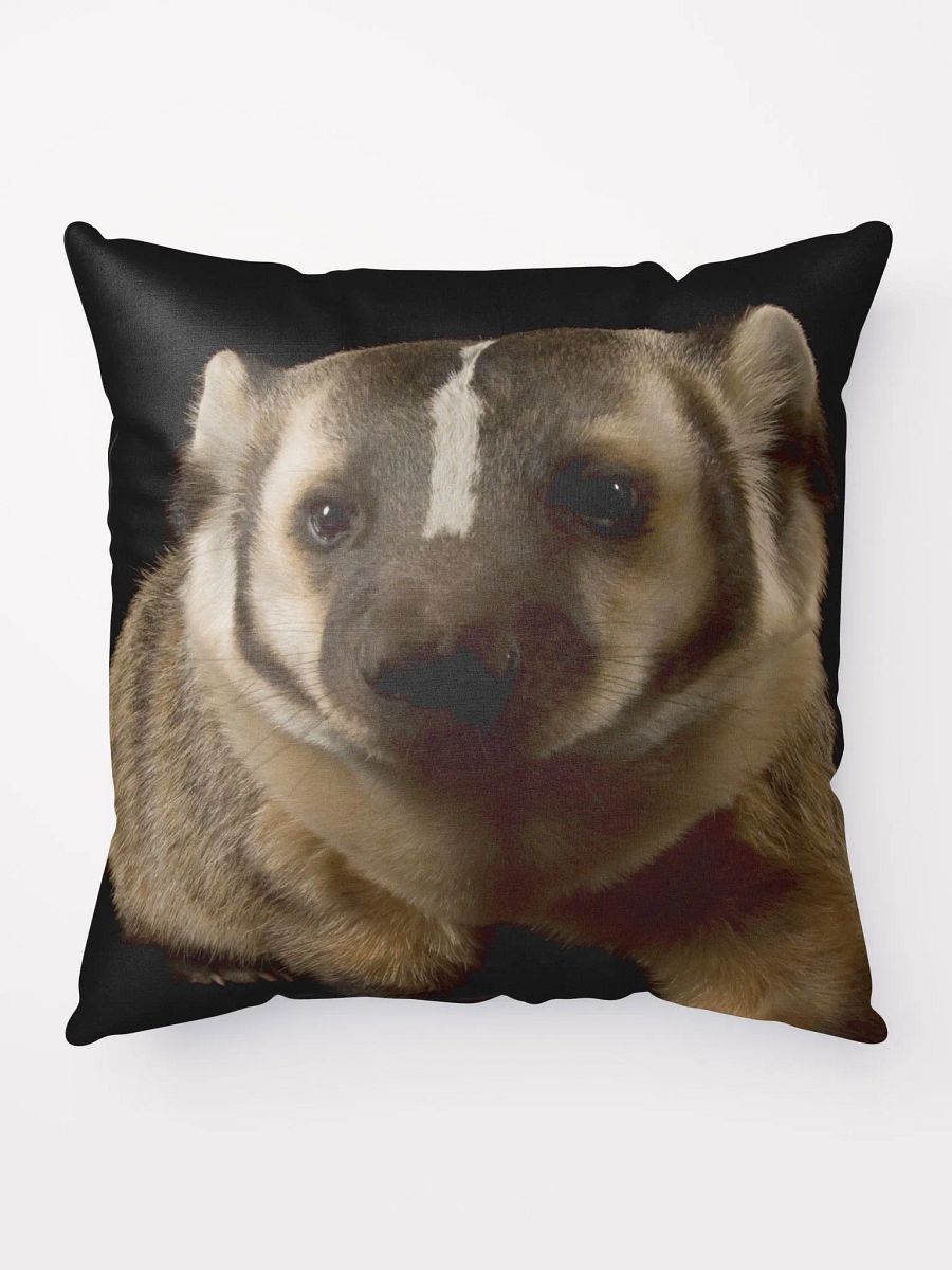 cuddle with a real badger product image (9)
