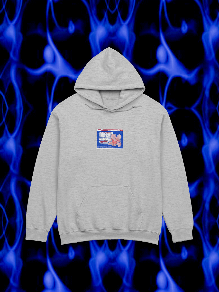 Twin Bears Hoodie - Grey product image (1)