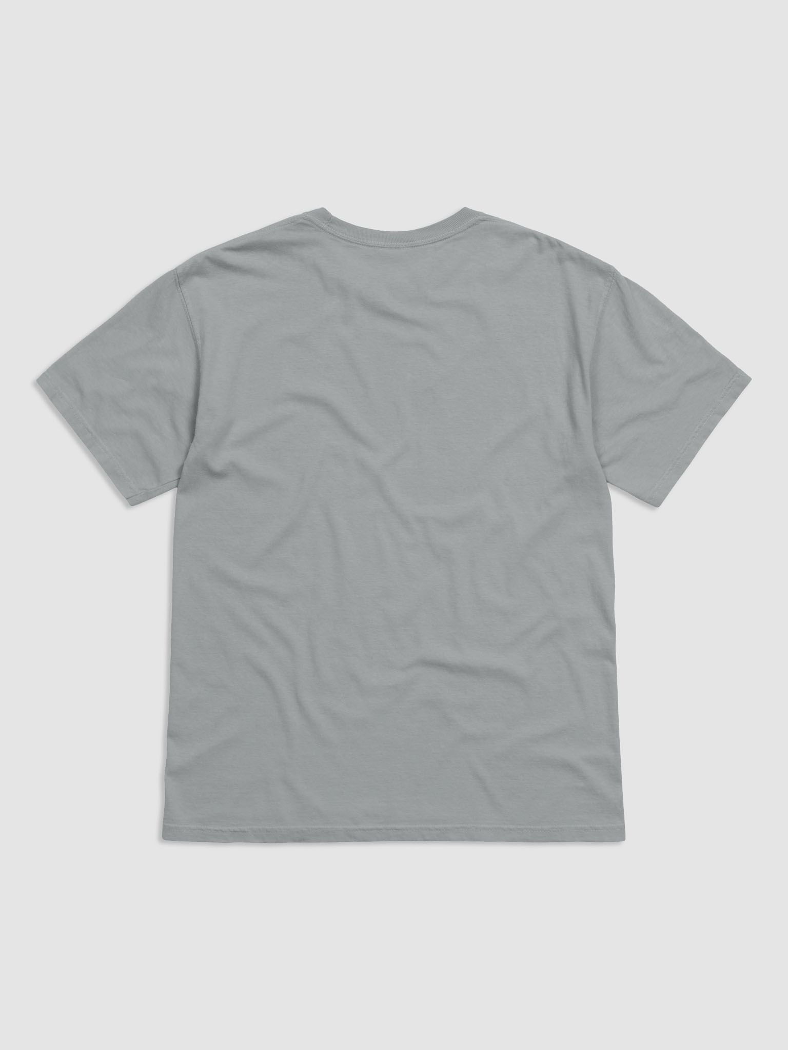 I'm The Problem Raccoon Heavyweight T-Shirt product image (3)
