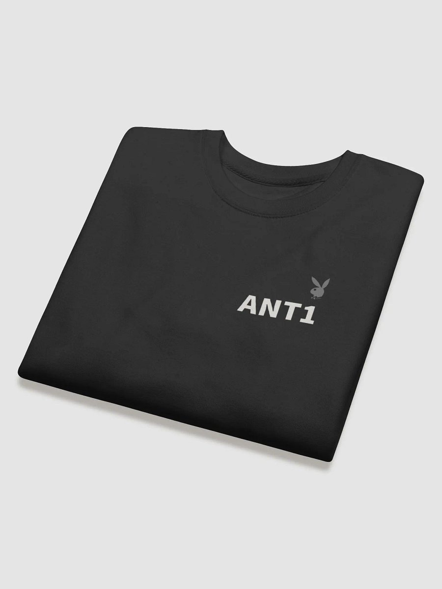 ANT1 product image (3)