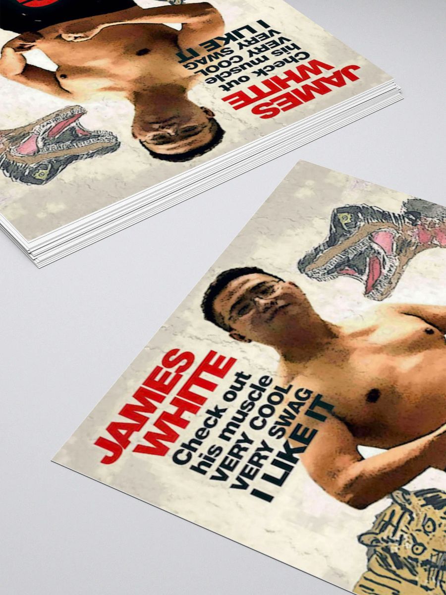 Kiss Cut Stickers: swag warrior product image (10)