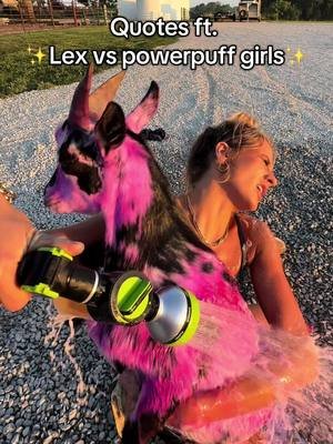 QUOTES BY LEX VS POWERPUFF