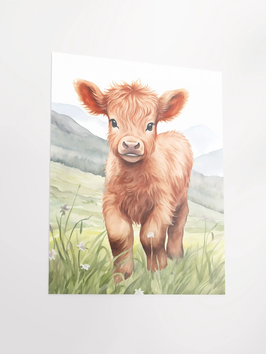 Highland Calf Poster product image (5)