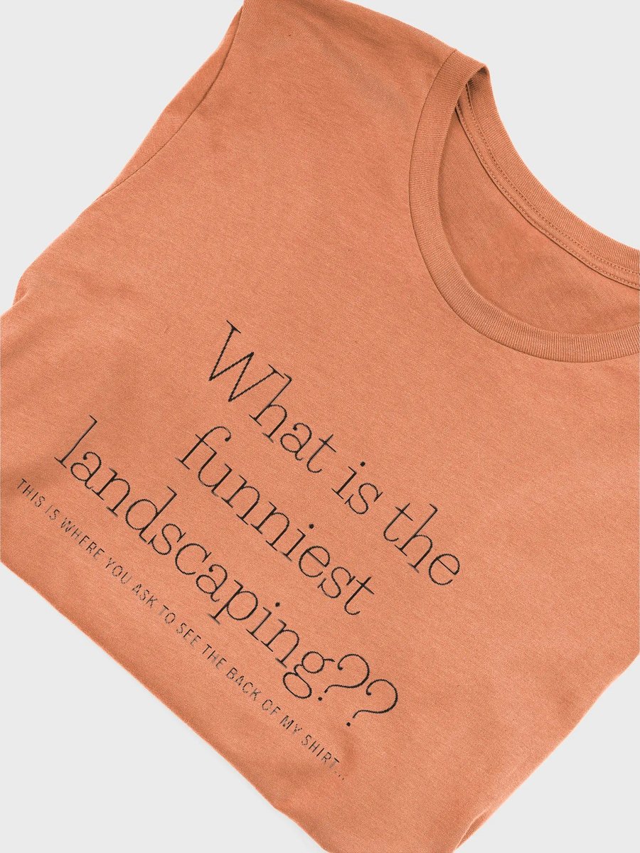 Joke Shirt product image (26)