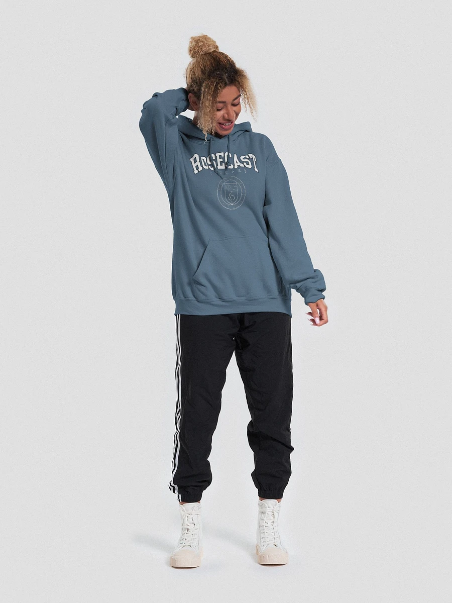 Fancy College Hoodie product image (6)
