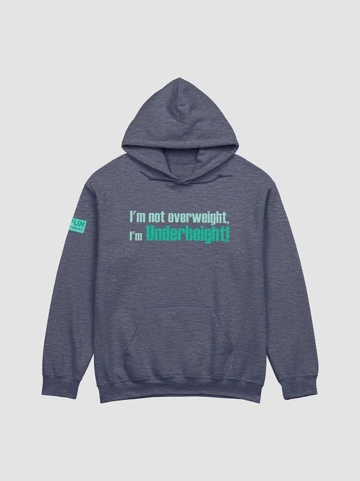 Underheight Hoodie product image (11)