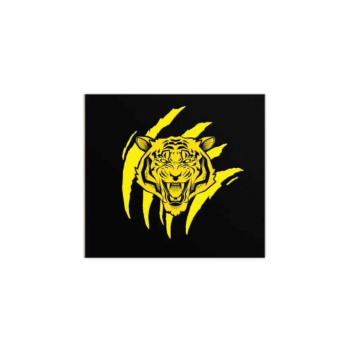 Colección de blocs de notas con diseño de tigre rugiente product image (2)