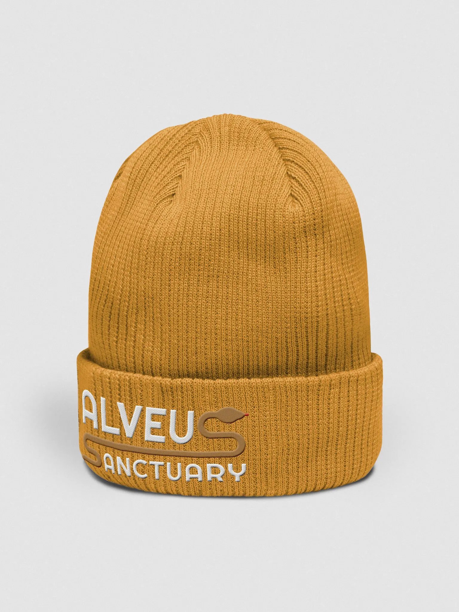 Noodle Beanie product image (51)