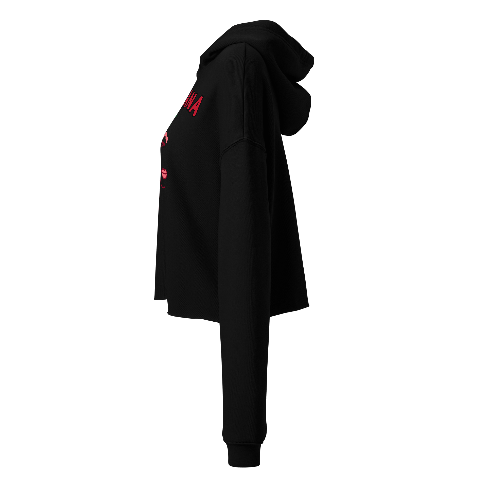 Mexicana Rose Crop Hoodie product image (5)